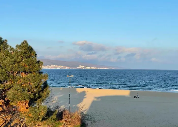 Gallery B Apartament *