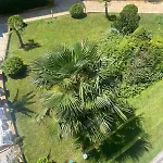 Gallery B Apartment Sunny Beach