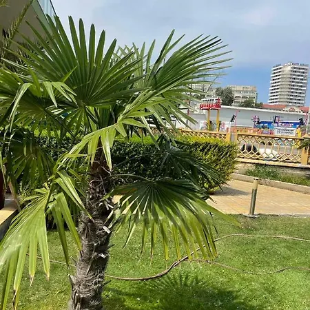 Apartamento Gallery B *