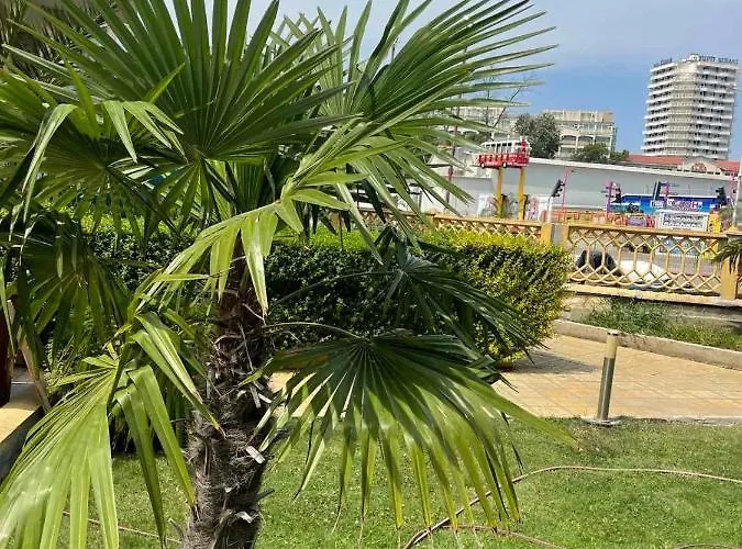 Apartment Gallery B *