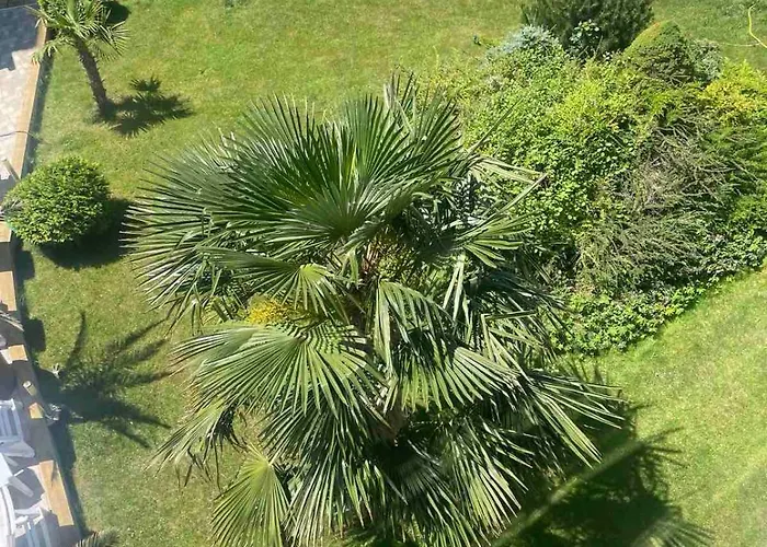 Gallery B Lejlighed Sunny Beach